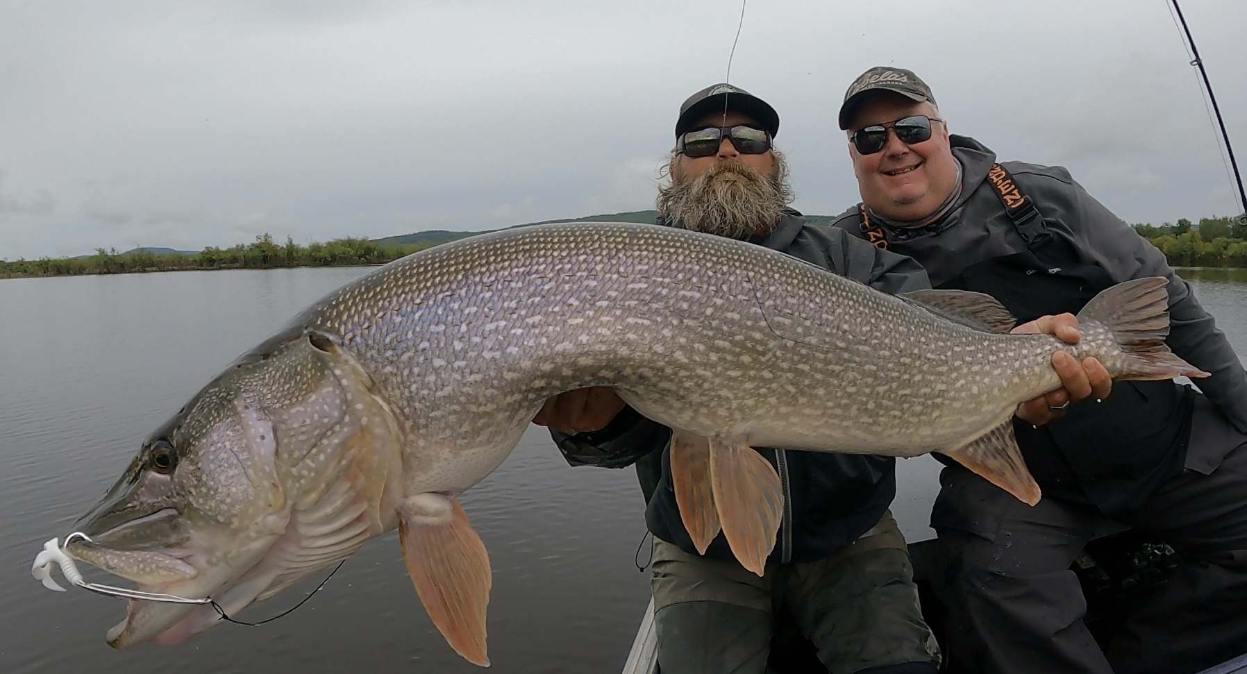 Midnight Sun Trophy Pike - Trophy Alaska Pike Fishing